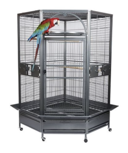 Rainforest Cages Toronto Large Corner Parrot Cage